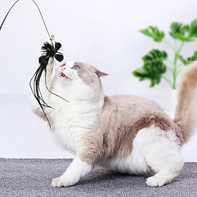10 Pieces Cat Insect Feather Toys Replacement Cat Toy Wand Refills Interactive Cat Teaser Wand Attachments with Bell for Cat Toys