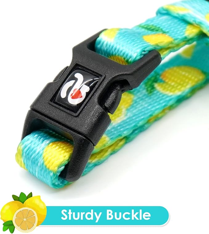 azuza Cat Harness and Leash Set for Safe Walking and Travel, Escape Proof Cat Harness, Lightweight Soft and Comfortable, Adjustable Kitten Harness for Small Medium Large Cats, Lemon