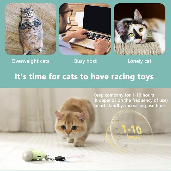 CZPET Cat Toys Kitten Jump Exercise Interactive Replaceable Elastic Automatic Toy Funny Cat Teaser Various Developmental Puzzle Toys Feather Mouse