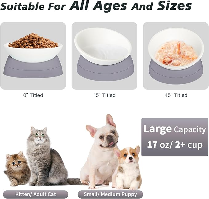 4Pcs Cat Bowls Elevated Cat Food Bowl Adjustable Cat Dish Anti-Slip and Anti-Noise Raised Cat Bowl Protecting Pet’s Spine Thickened Plastic Bowl Suitable for Indoor Cats, 17 Oz