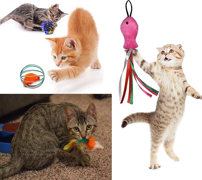 Cat Toys Set, Cat Retractable Teaser Wand, Catnip Fish, Interactive Cat Feather Toy, Mylar Crincle Balls, Two Cotton Mice, Four Fluffy Mouse
