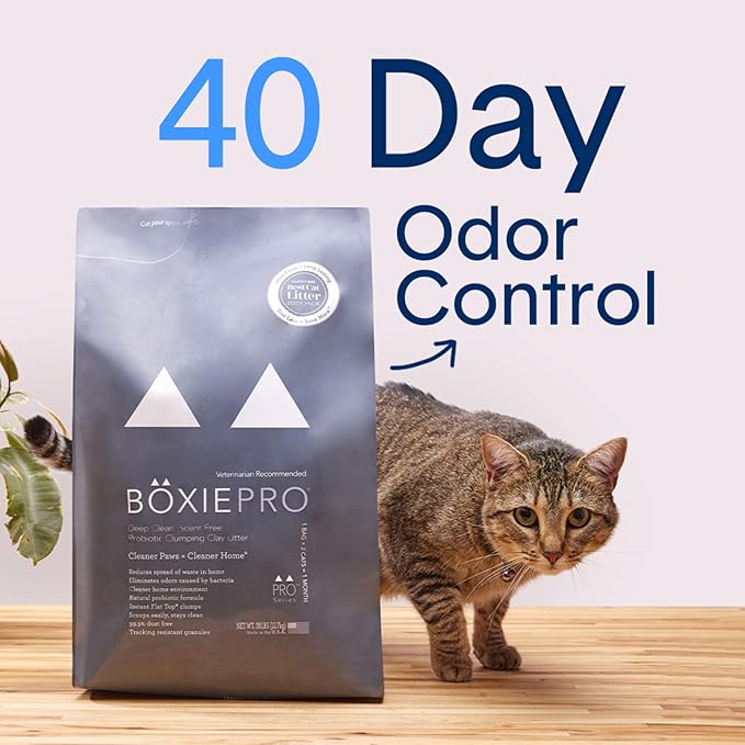 Boxie® Probiotic 40 Day Natural Odor Control Cat Litter, 16lb Clumping Clay Kitty Litter