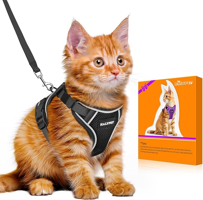 Halypet Cat Harness and Leash Set [MAX Safety 4th-Gen Upgrade] Escape Proof Adjustable Cat Leash Comfortable Soft Vest Easy to Wear Kitten Harness with Reflective Strip for Cats Walking, S Black