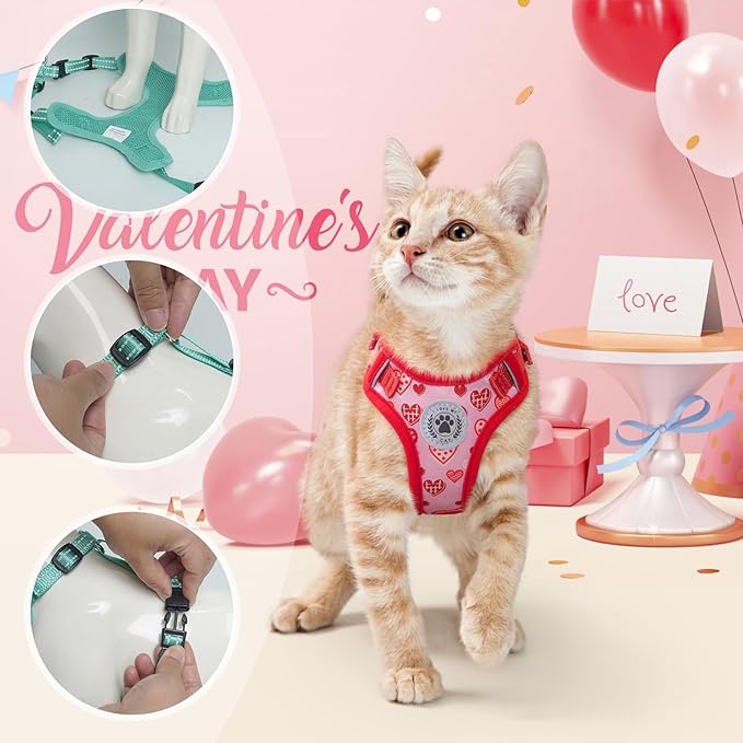 BEAUTYZOO Cat Harness and Leash Set for Walking Escape Proof, Neck Release Adjustable Harness for Kitten Puppy Small Medium Large Cats, Soft Cute Easy Control Small Cat Harness for Cats Boy and Girls