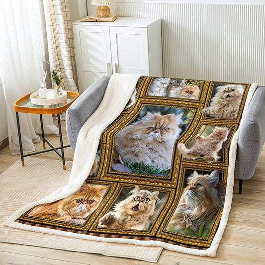 Feelyou Garfield Print Fleece Throw Blanket for Bed Sofa Couch Cute Cat Plush Blanket Baby 30"x40" Kawaii Kitten Sherpa Blanket Gift for Garfield Lover Fuzzy Blanket Flannal Blanket