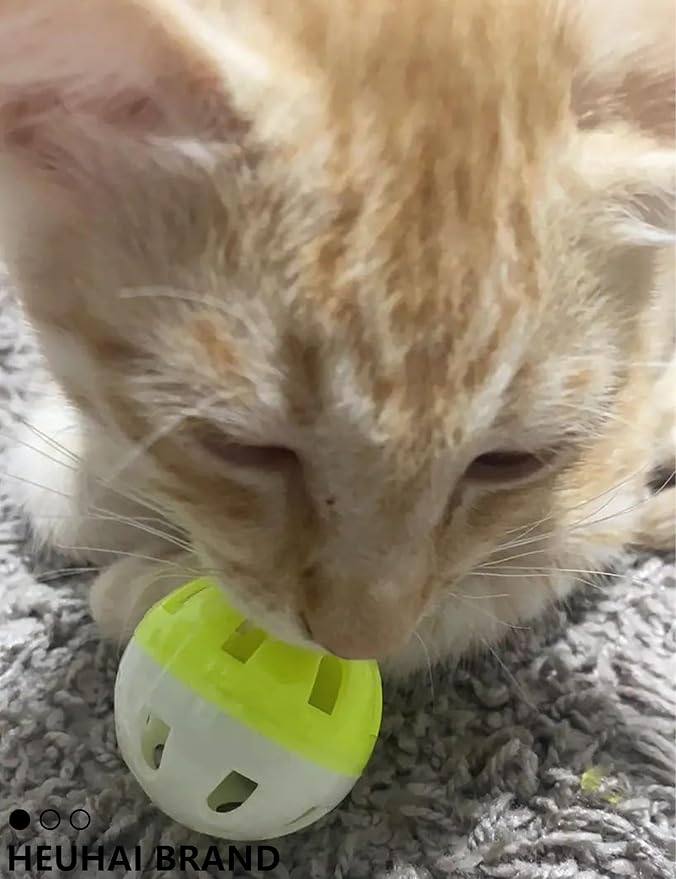 Kitten Toys, 31 Pcs Kitten Toy Pack for Indoor Kittens, Interactive Small Cat Toys to Keep Them Happy & Entertained