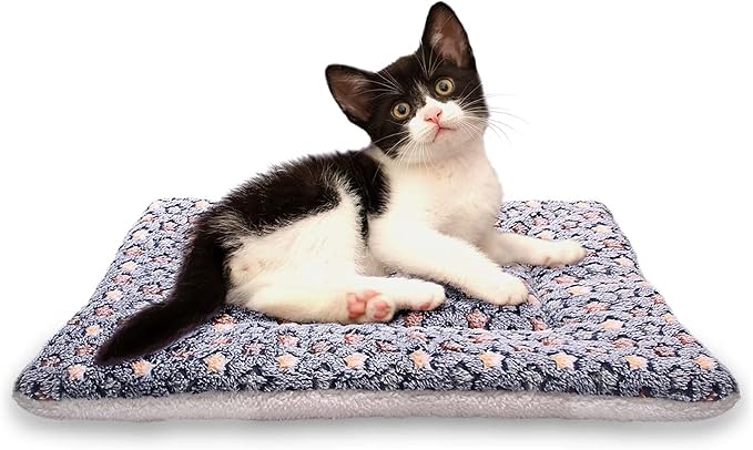 FJWYSANGU Fluffy Pet Cat Blanket Soft Coral Velvet Pet Puppy Cushion Mat Warm Cover Soft Pad Mat Dark Blue S