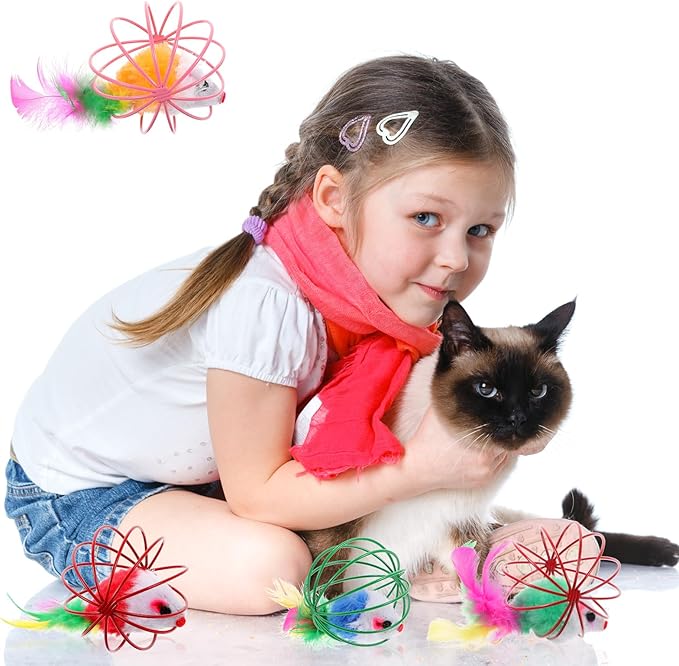 Cat Toys 4pcs, Interactive Cat Ball Toy with Mice Inside, Best Cat Toys for Bored Indoor Cats, Cat Stocking Stuffers, Cat Feather Toy, Catnip Ball, Spring Cat Toy, Cat Toys Ball for Kittens and Cats,