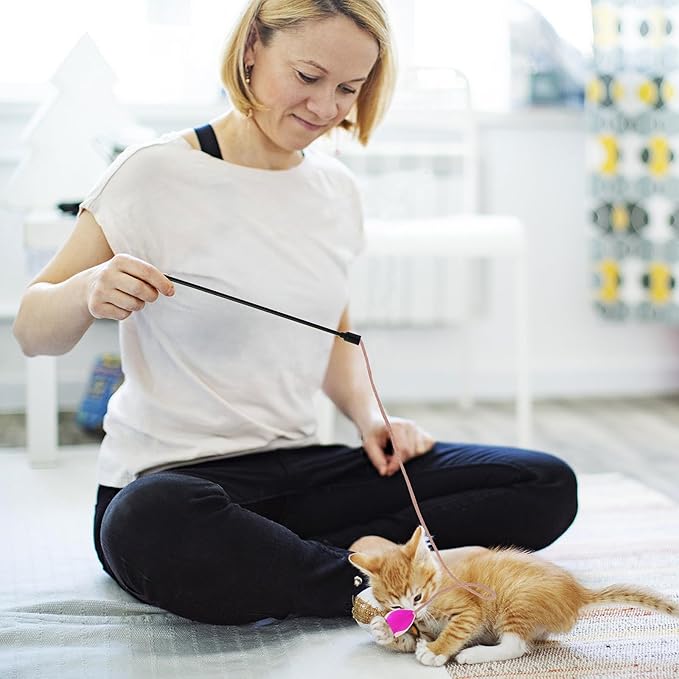 simarro 3 Pcs Cat Feather Wand Toys, Interactive Cat Teaser Wand Toy for Indoor Cats Adult, Colorful Feather Kitten Cat Stick Toys for Indoor Cats Play Chase Exercise