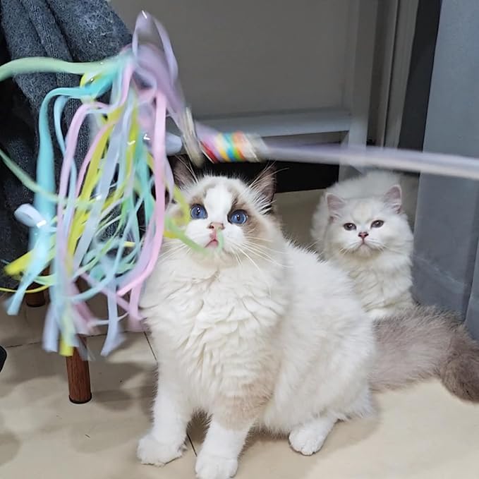 Cat Wands, 3 PCS Interactive Cat Toys with Rainbow Tassel and Bell Handcrafted Cat Tinsel Wand for Indoor Cats Kitten Play Chase Exercise