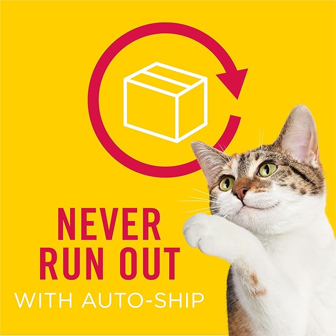 Purina Friskies Lil' Gravies Roast Beef Flavor Cat Food Complement Lickable Cat Treats - (Pack of 16) 1.55 oz. Pouches