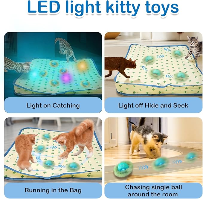 Interactive Cat Toys for Indoor Cats,Automatic Moving Cat Ball in Pouch,Chirping Stimulation,Hide-n-Seek Chase Exercise Game,Motion Activate,Rechargeable Kitten Toys