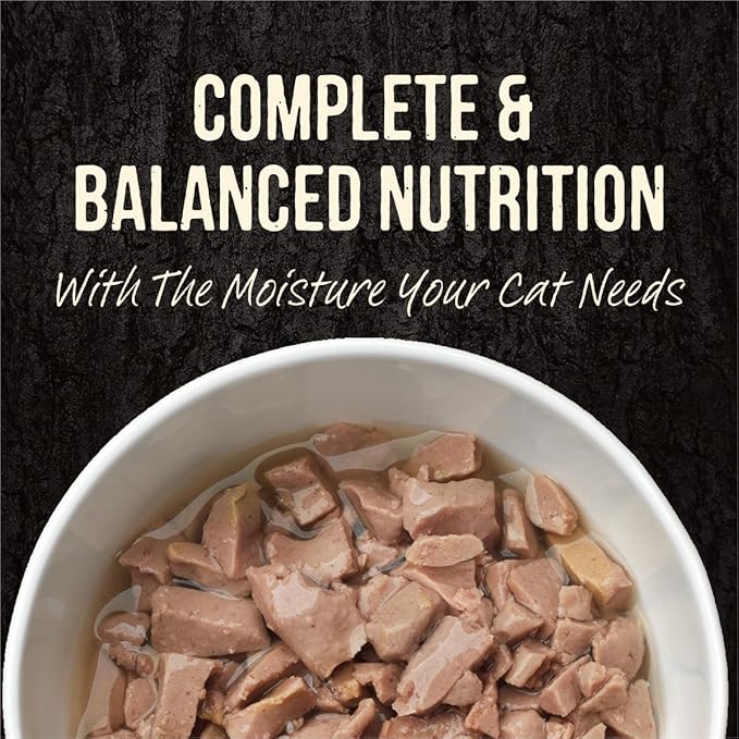 Merrick Backcountry Grain Free Gluten Free Premium High Protein Wet Cat Food, Turkey Recipe Cuts With Gravy - (Pack of 24) 3 oz. Pouches