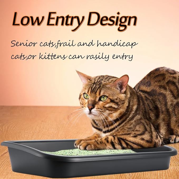 3 Pcs Low Entry Senior Cat Litter Box,Extra Large Size Pet Litter Box Low Entry Open Top Cat Litter Box for Kitten Frail Handicap Disabled Older Elderly Cats and Kitten,Easy to Clean (Dark Gray)