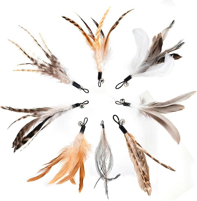 Natural unstained Feathers,8PCS Cat Feather Toys Replacement Cat Toy Wand Refills, Cat Feathers Refill for Indoor Cats,Perfect Wand Attachments