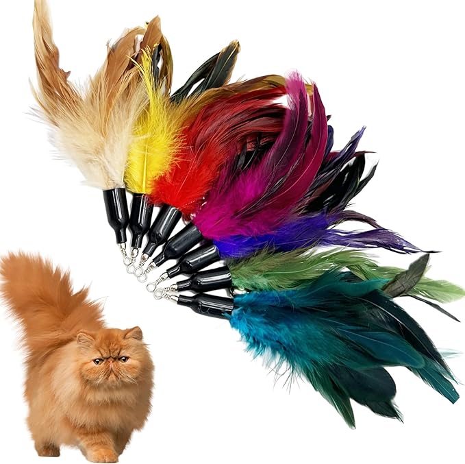 Cat Feather Toys Refill Cat Wand Replacement Feathers, 16 PCS Cat Toy Feather Refills, Cat Wand Attachments Feathers for Cat Toys