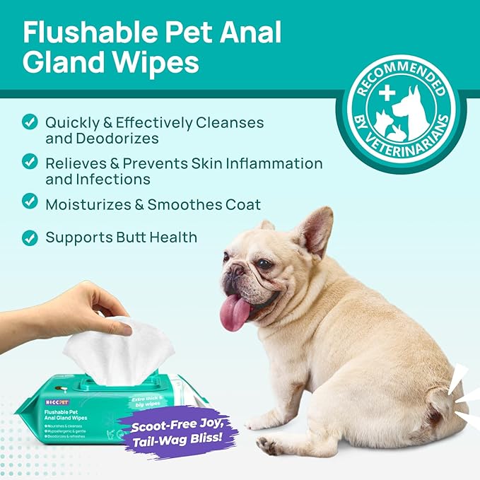 HICC PET Wipes for Dogs & Cats, Cleansing Deodorizing & Soothing Allergy Infections Anal Gland Pets Wipes with Coconut Oil - Dog Grooming Wipes for Butt and Paw - Hypoallergenic & Vet Recommended