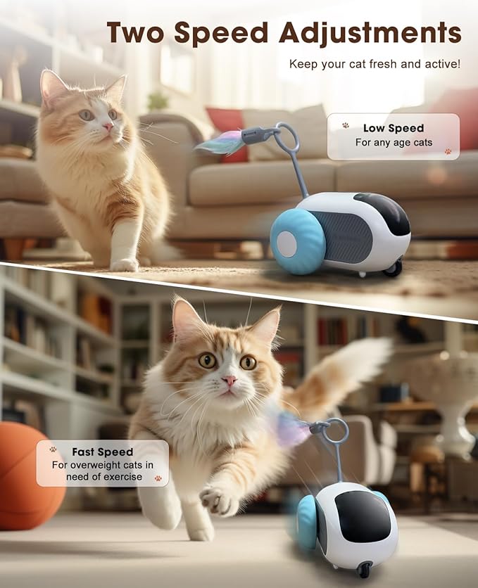 Cat Toys for Indoor Cats, Smart Interactive Cat Toy with Two-Speed Adjustment, Remote Control USB Rechargeable Automatic Cat Exercise Toys for Bored Indoor Adult Cats Kittens (Blue)