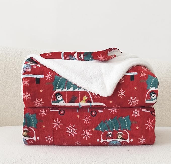 Elegant Comfort Reversible and Ultra-Plush Flannel Fleece-Winter Christmas Sherpa Throw- Lightweight Soft and Cozy-Holiday Decorative Throw, Perfect for Lounging, 50 x 60 inches, Christmas Tree Car