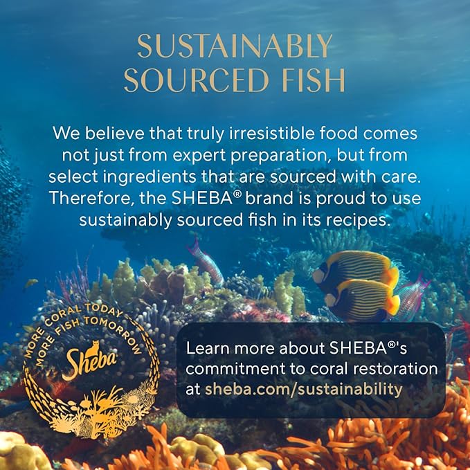 Sheba Perfect Portions Paté Wet Cat Food Trays (24 Count, 48 Servings), Gourmet Chicken and Tuna Entrée, Easy Peel Twin-Pack Trays