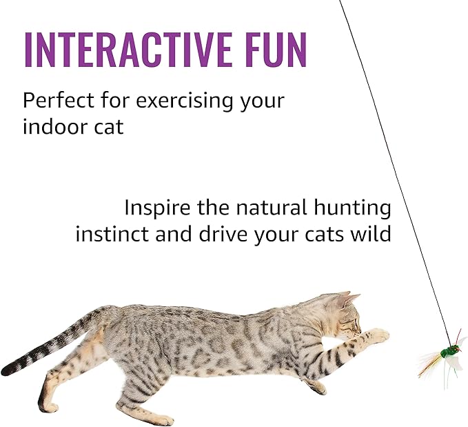 RompiCatz Critter Collector Series Teaser String and Interactive Cat Toy Attachment, Bugzbird