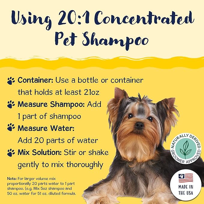 Bobbi Panter Dazzling Dog Shampoo for Moisture and Shine, Naturally Derived Ingredients, Tear-Free, Salt-Free, Paraben-Free, pH-Balanced, 20:1 Concentrated Formula, Argan Oil, Chamomile Scent, 13 oz.