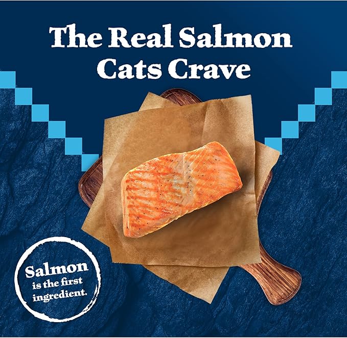 Blue Buffalo Wilderness Natural High Protein Grain Free Salmon Dry Food for Adult Cats 11 lbs.