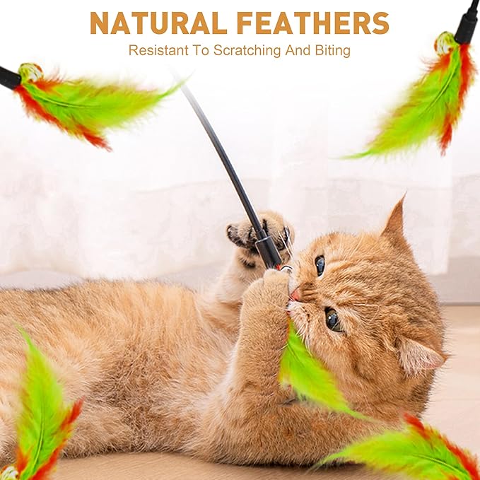 10Pcs Interactive Cat Toys Feather Toys Cat Toys Wand with 10Pcs Cat Teaser Stick Storage Holder for Indoor Cats to Chase and Exercise