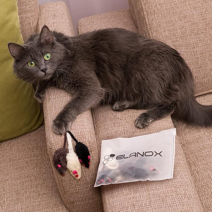 Set of 10 Toy mice 10 Pieces with Bell and Without Plastic Parts Outside (Eyes, Nose) I Soaked in Catnip Cat Toy