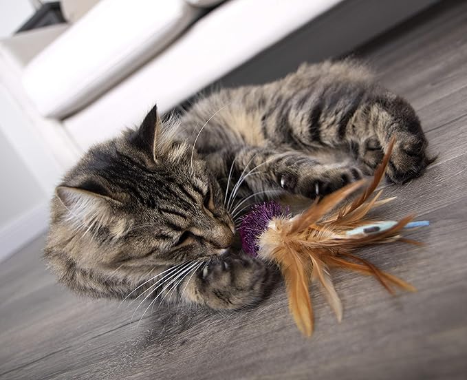 Petlinks Tweet Thing Electronic Sound Cat Toy, Battery Powered - Purple, One Size