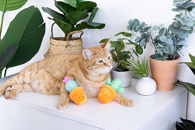 pearhead Prickly Plants Cat Toy Set, Cute Catnip Toys, Plush Cactus Interactive Chew Toys, Pet Owner Must Have Catnip Toys, Set of 2 Plush Toys