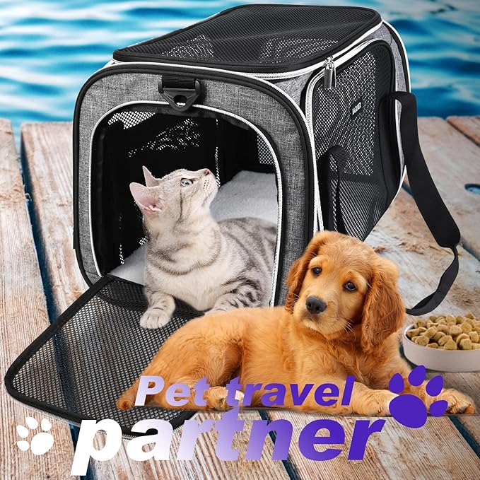BAGLHER Pet Travel Carrier, Cat Carriers Dog Carrier for Small Medium Cats Dogs Puppies, Airline Approved Small Dog Carrier Soft Sided, Collapsible Puppy Carrier. Grey
