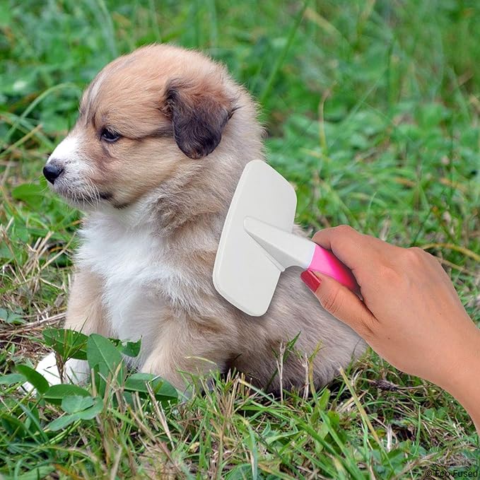 Slicker Brush and Nail Clippers for Dogs, Cats and Other Pets - Essential Animal Grooming/Claw Care Tools - Ideal Trimmers to Clip Thick Nails (Pet Hair brush - Small & Large Brush)