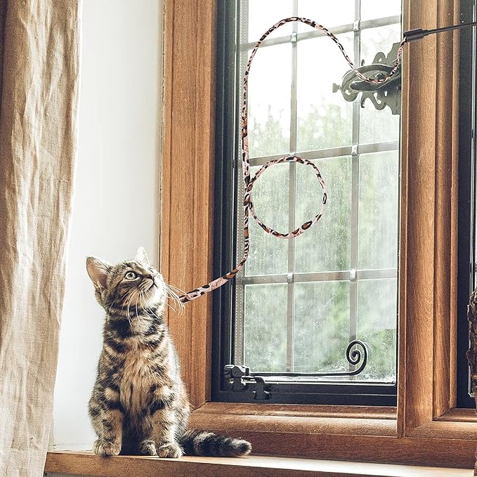 Molain Cat Wand Rainbow Toy, 5pcs Rainbow Wand for Kittens Training Rainbow Ribbon Interactive Cat Wand Stick Toy for Kitten Cat Indoor Exerciser Playing(30cm, Leopard Print)