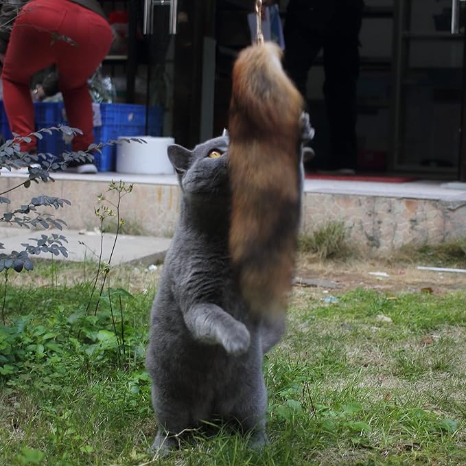 Fosrion Real Raccoon Tail Fur Cat Bites Toy with Three Section Retractable Carbon Fiber Rod (Sunny Fox, Only Tail)