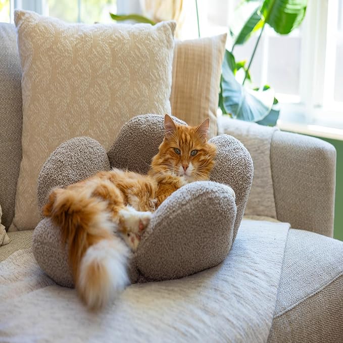 Catstages Purrfect Petals Washable Flower Shaped Round Cat Bed for Indoor Cats, Plush, Tan