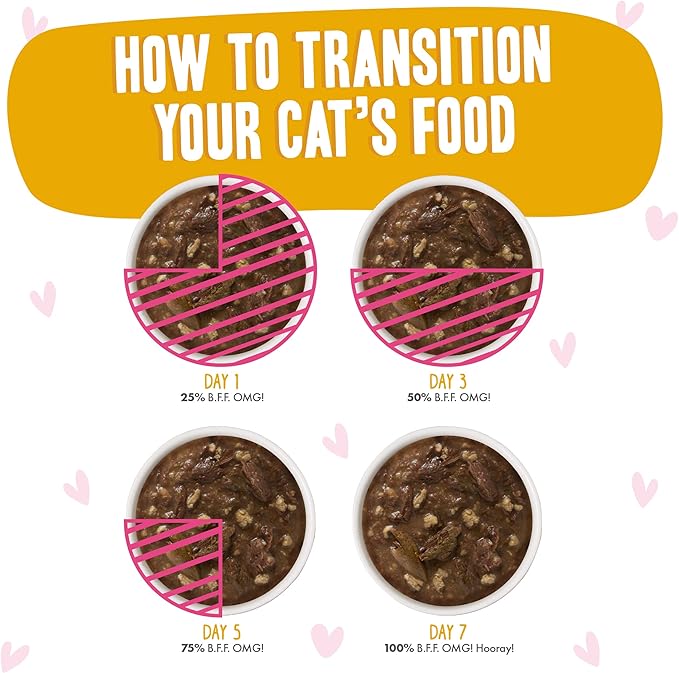 Weruva B.F.F. OMG - Best Feline Friend Oh My Gravy!, Tuna & Turkey Tickles with Tuna & Turkey in Gravy Cat Food, 3oz Pouch (Pack of 12)