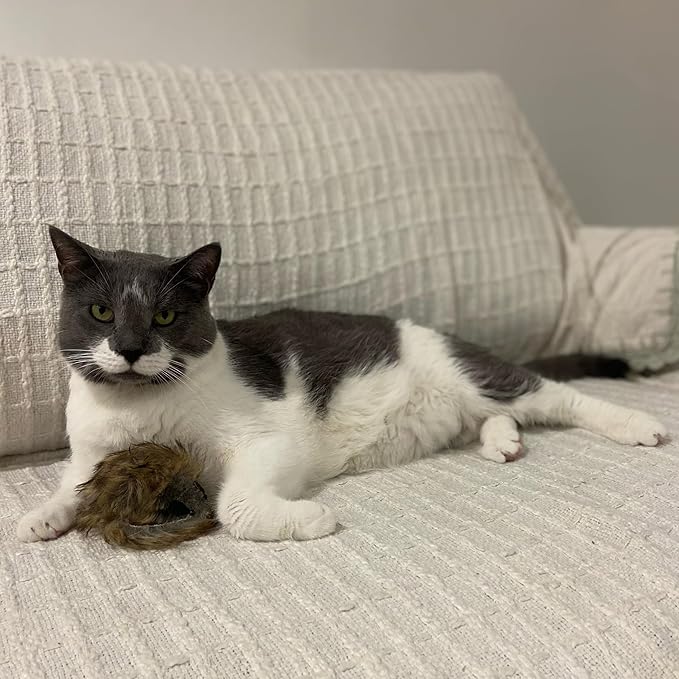 Ethical SPOT Shaggy Plush Giant Mouse - Cat Toy, Fuzzy Mice with Catnip and Rattle Toy for Indoor Cats and Kittens, Perfect Size for Pouncing on, Chasing, Hunting - 8.5in, 1 Piece