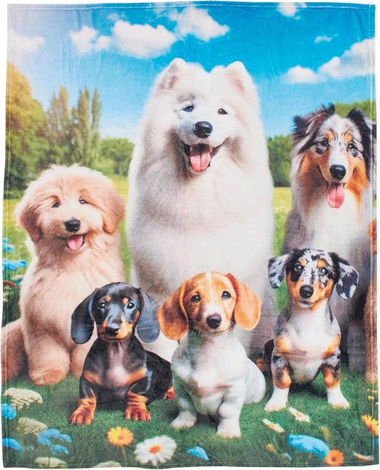 Dawhud Direct Adorable Puppy Fleece Blanket - Soft Plush, Cozy Throw for Kids and Adults, Colorful Blanket with Cute Puppies Print, Ideal for Beds, Couches, and Travel - 60 x 50 Inches