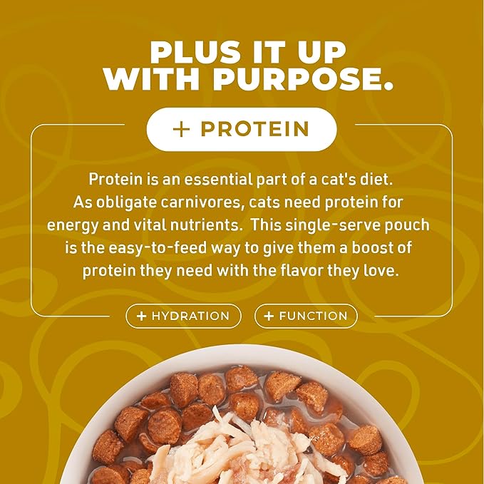 Tiki Cat Born Carnivore Complements Wet Cat Food Topper, Chicken, 2.1 oz. Pouch (12 Count)