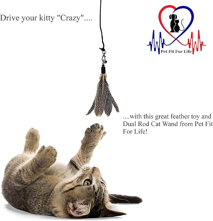 Pet Fit For Life 2 Feather Teaser and Exerciser for Cat and Kitten - Cat Toy Interactive Cat Wand