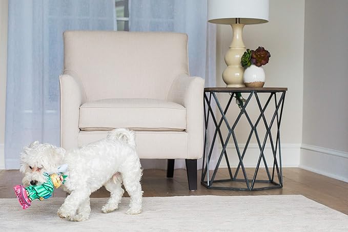 Fat Cat Statue of LIBARKY