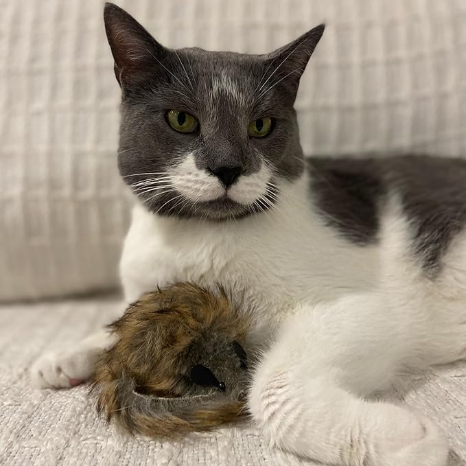 Ethical SPOT Shaggy Plush Giant Mouse - Cat Toy, Fuzzy Mice with Catnip and Rattle Toy for Indoor Cats and Kittens, Perfect Size for Pouncing on, Chasing, Hunting - 8.5in, 1 Piece