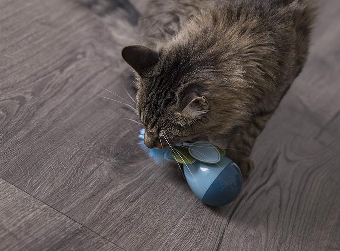 Petlinks Dizzy Thing Spinning Electronic Motion Cat Toy, Battery Powered - Blue, One Size