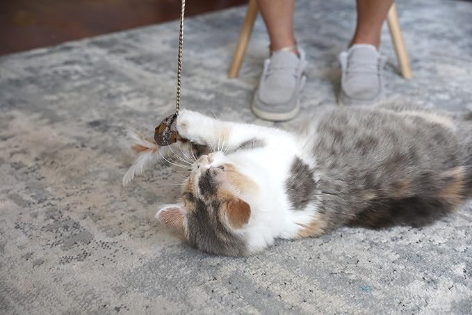 OurPets Play-N-Squeak Teathered & Feathered Play Wand Cat Toy, for All Breed Sizes