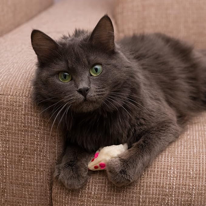 Set of 10 Toy mice 10 Pieces with Bell and Without Plastic Parts Outside (Eyes, Nose) I Soaked in Catnip Cat Toy