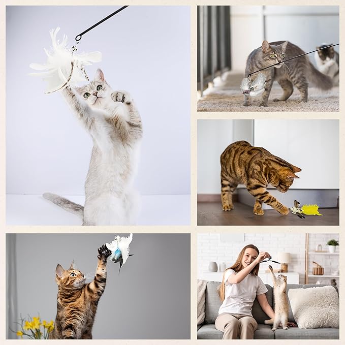 Variety Play Cat Toys Set, 5 Pack, Refills for Cat Wand Toys, Cat Fishing Poles, Spring Wires, Door/Wall Hang Ropes. 2 Bird Cat Toys, 2 Feather Cat Toys & Windmill - Bells & Easy Clip-On