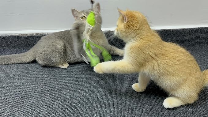 3 PCS Cat Toy Door Hanging Teaser Cat Swing Toy Interactive Toy Hanging Door Retractable Cat Wand Toy Interactive Hanging Cat Toy Cat Mental Exercise Toy Cat Feather Toy for Play Chase