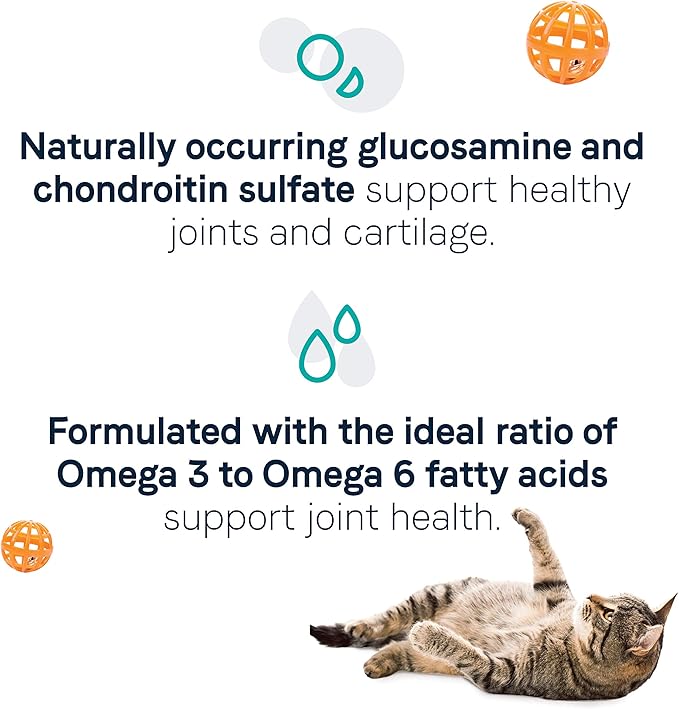 Canidae Goodness for Joints, Premium Adult Dry Cat Food with Real Salmon, 5 Lbs.