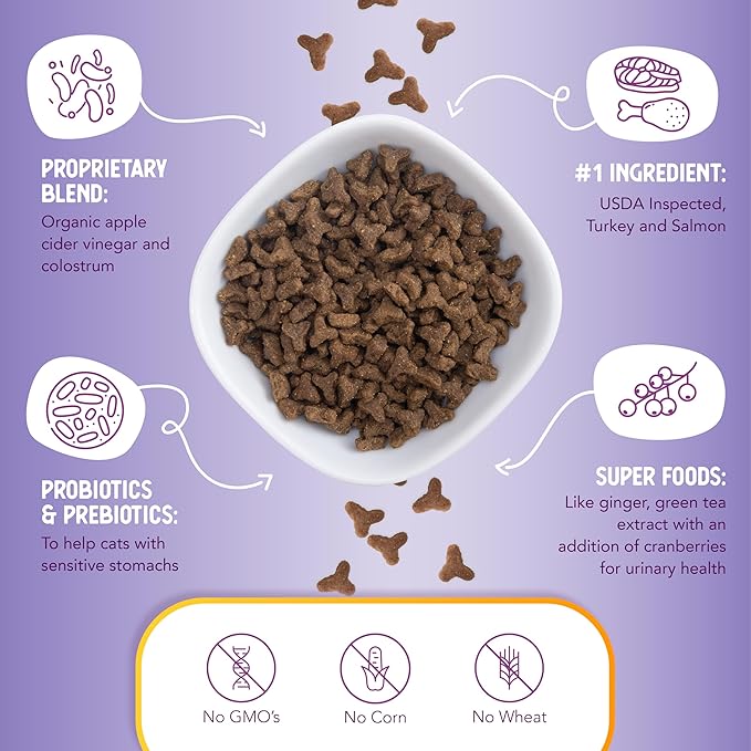 Health Extension Dry Cat Food, (15 lb / 6.8 kg) - Turkey & Salmon Recipe with Whole Vegetables, Berries, Added Vitamins & Minerals, Suitable for All Cats & Kittens